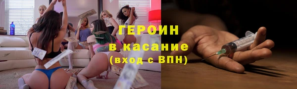 гашик Алексин