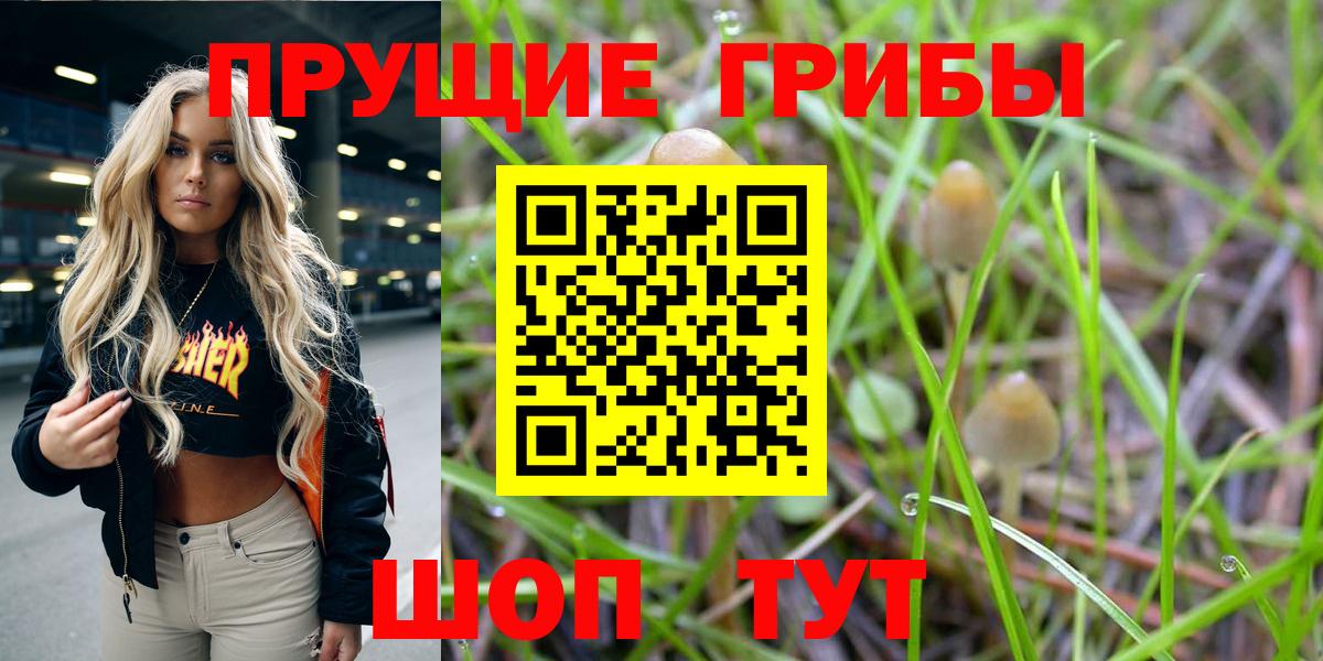 Черемхово  Псилоцибиновые грибы ЛСД  Вход с VPN 